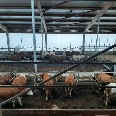 Апартаменты Kuhblick *