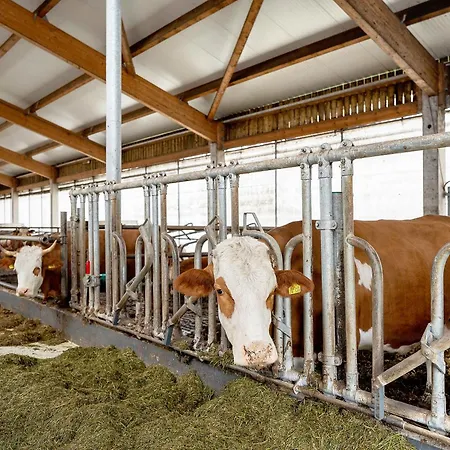 Апартаменты Kuhblick