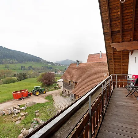 Kuhblick Baiersbronn