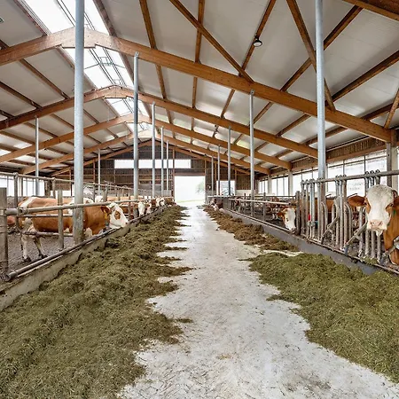 Kuhblick Байрсброн