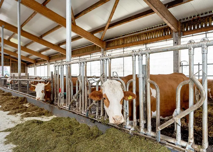 Appartement Kuhblick