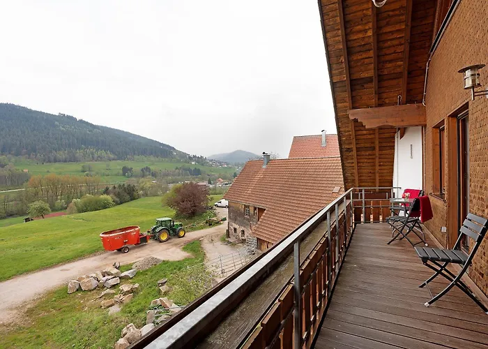 Kuhblick Baiersbronn