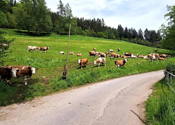 Kuhblick Appartement *